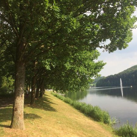 Blick In Die Suedeifel Biersdorf am See Bagian luar foto