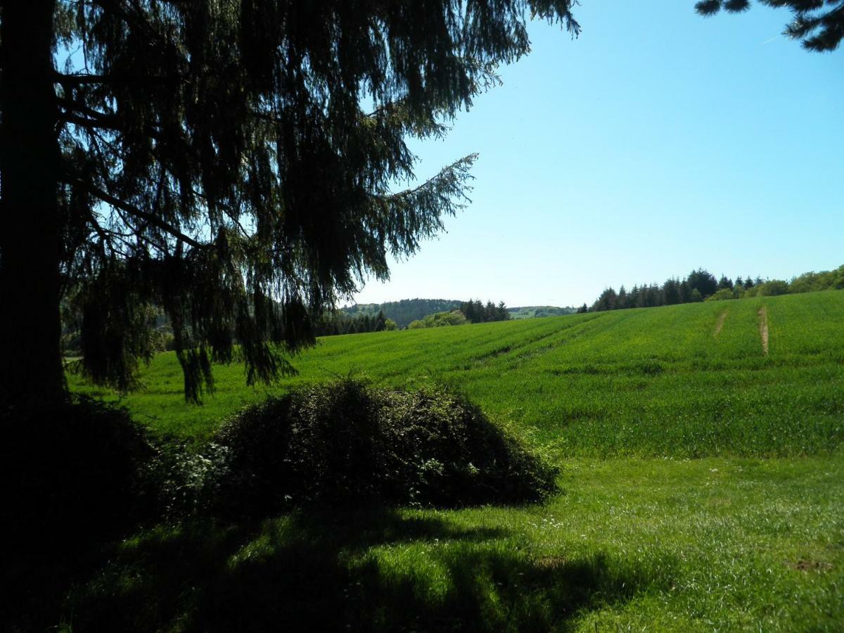 Blick In Die Suedeifel Biersdorf am See Bagian luar foto