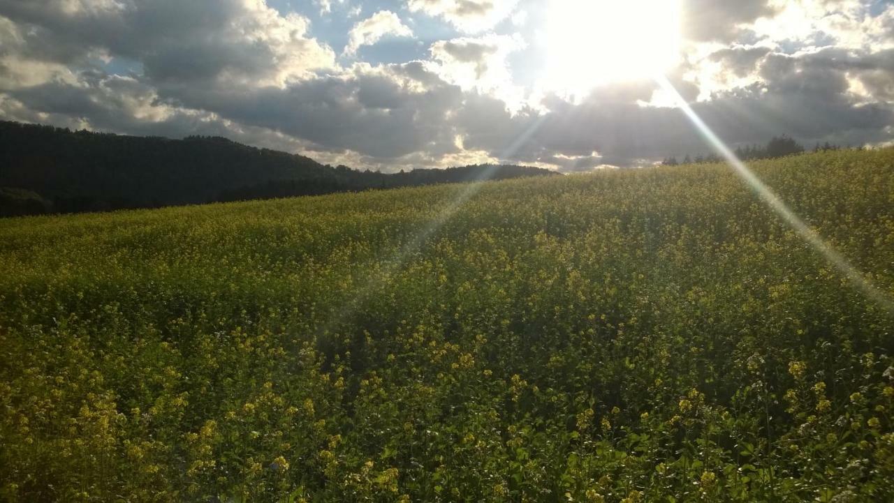 Blick In Die Suedeifel Biersdorf am See Bagian luar foto